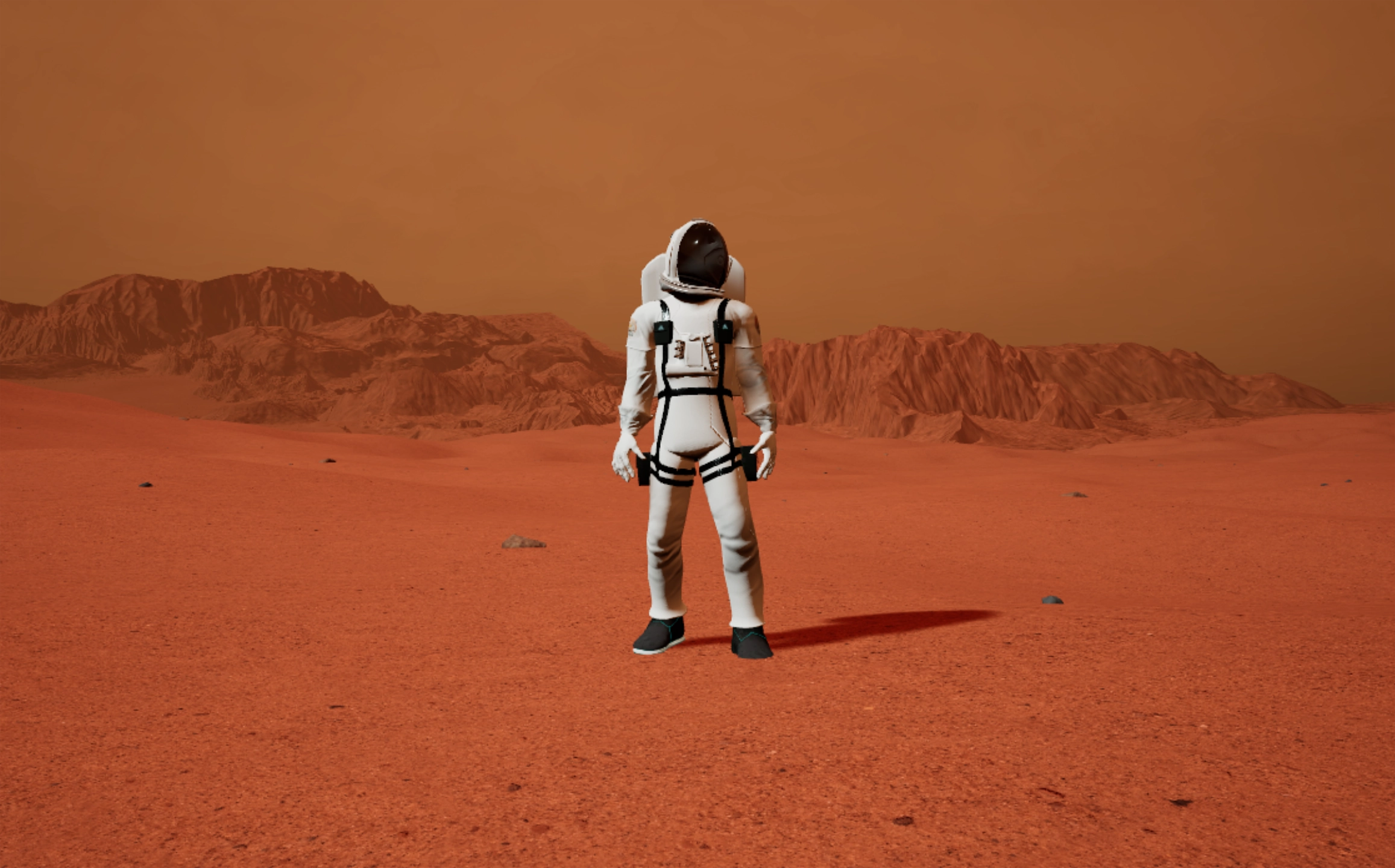 NPC to interact with